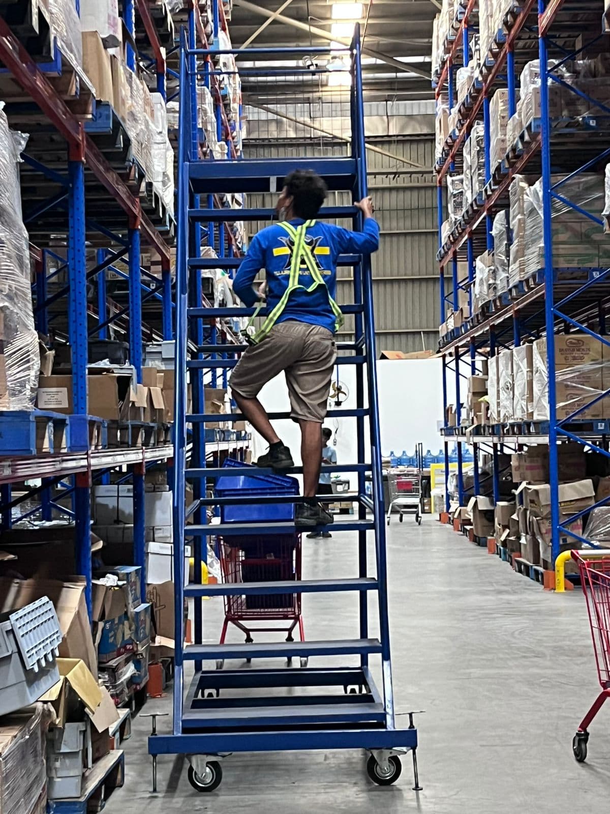 Warehouse Ladder